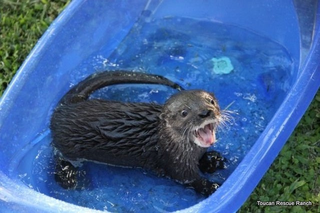 Baby Emma excited for her first swim