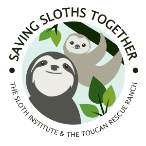 Saving Sloths Together