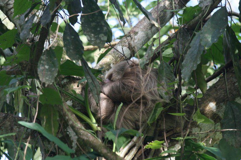 Ellie enjoying being #backinthetrees