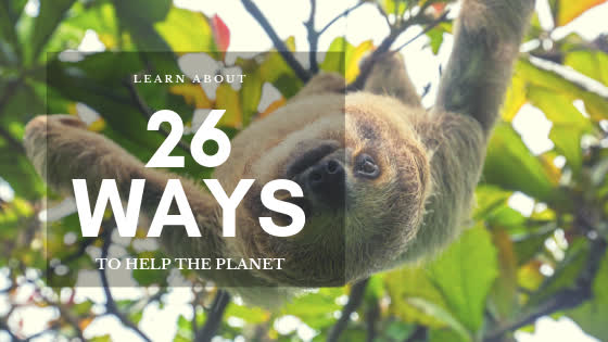 26 ways to help the planet