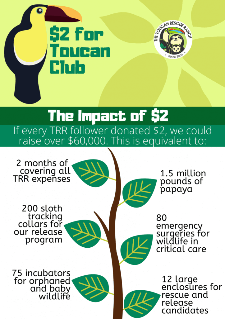 $2 for Toucan Club