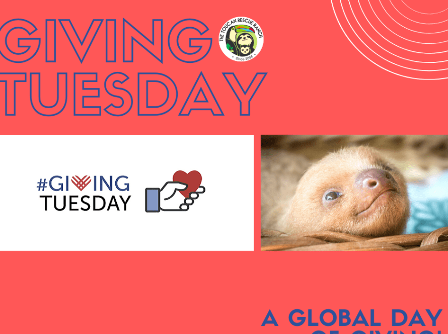 Giving Tuesday - A Global Day of Giving