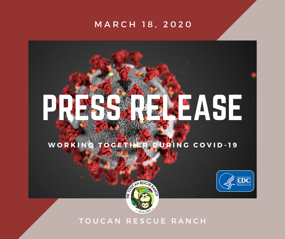 Press Release Working Together During Covid-19
