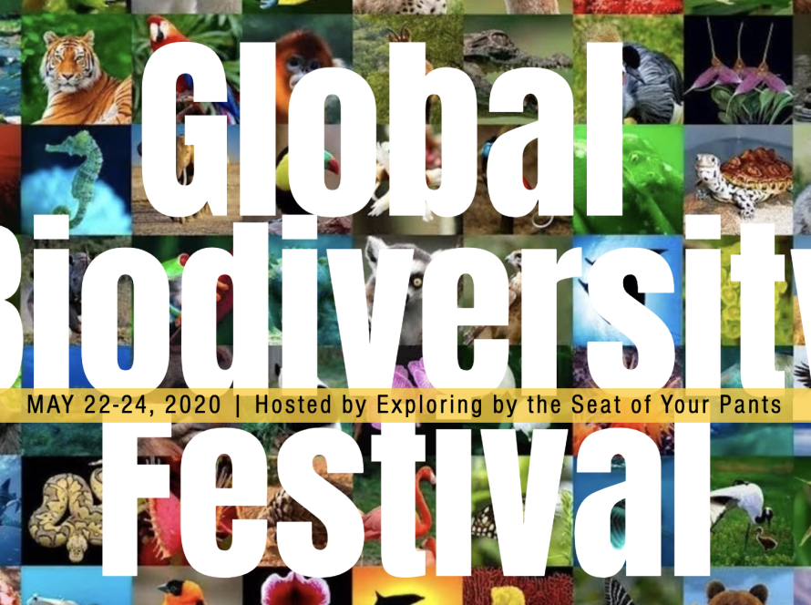 Global Biodiversity Festival