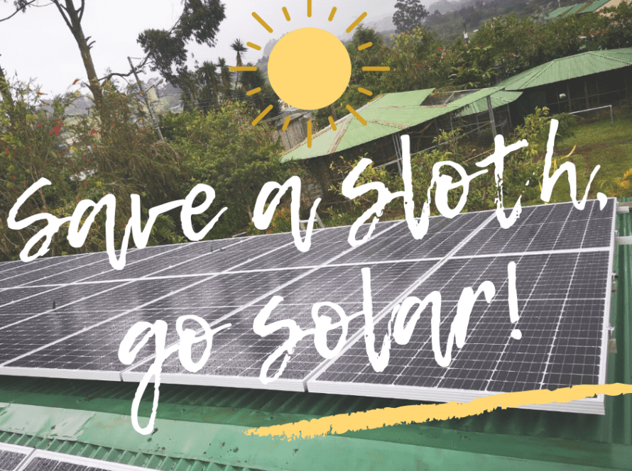 Save a sloth go solar!