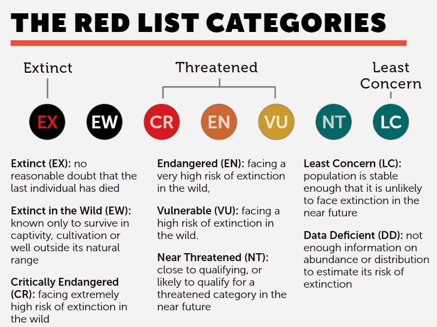The Red List Categories