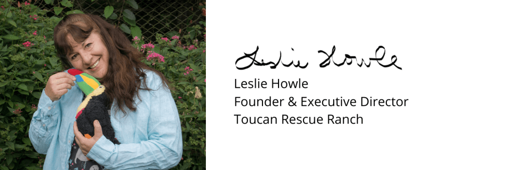 Leslie Howle