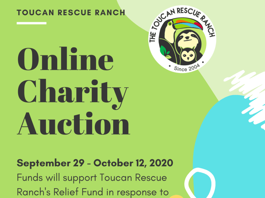 Online Charity Auction