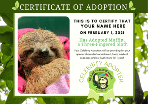 Certificate- of adoption