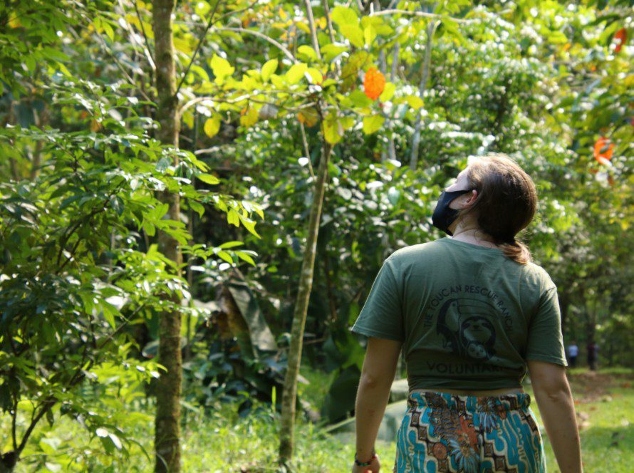 Release Site Toucan Rescue Ranch