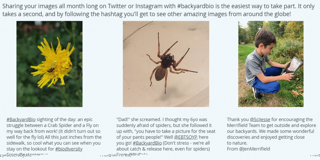 Back Yard Bio