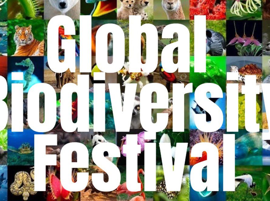 Global Bio Fest