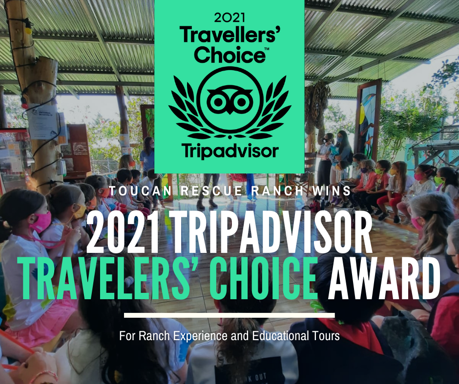 2021 Tripadvisor Travelers Choice Award Toucan Rescue Ranch Costa Rica