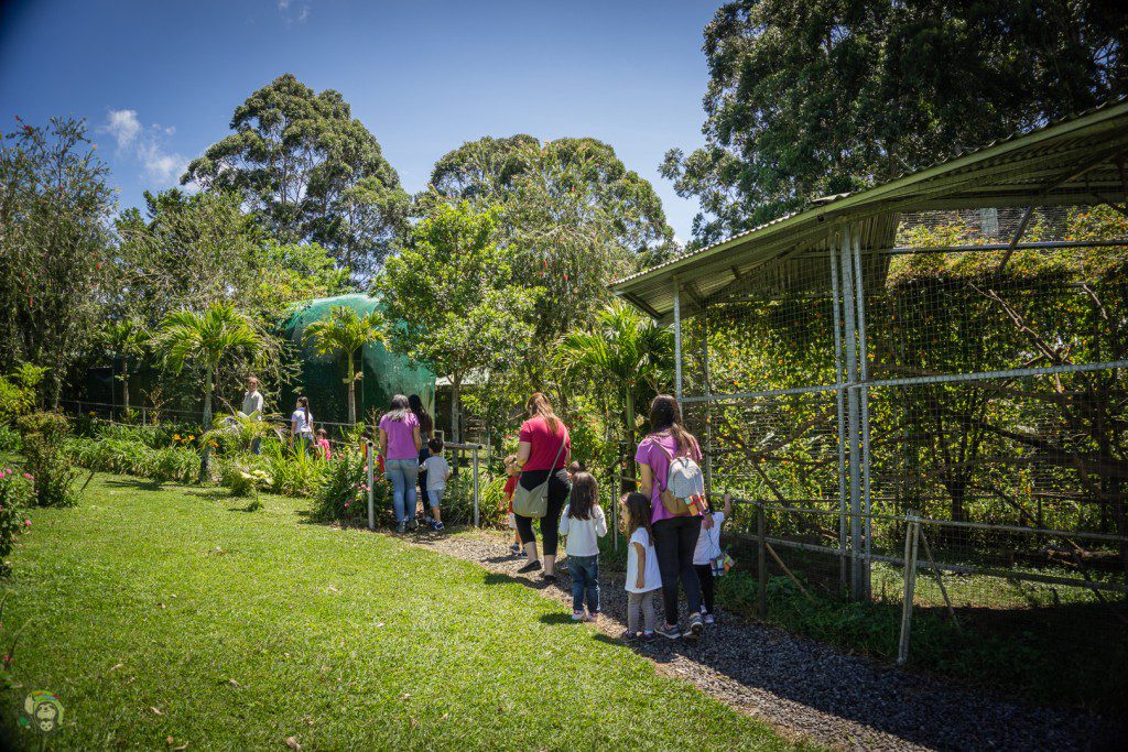Conservation Education at Toucan Rescue Ranch