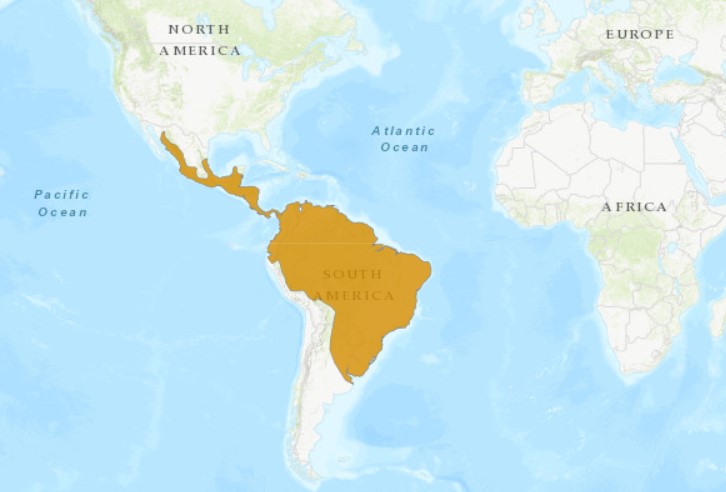 Neotropical River Otter Map