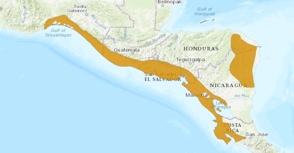 Yellow Naped Map Range