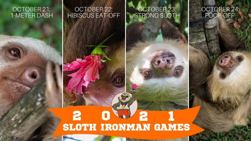 The 6th Annual Sloth Ironman Games