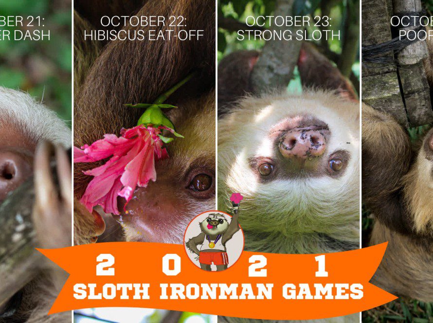 The 6th Annual Sloth Ironman Games