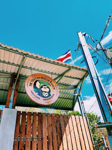 Processed with VSCO with c1 preset