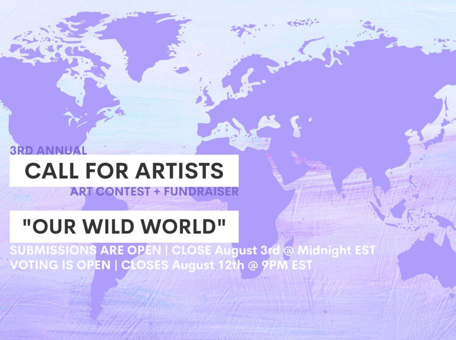 3rd Annual Call for Artists