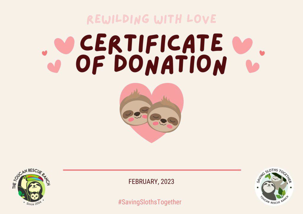 Certificate of Donation
