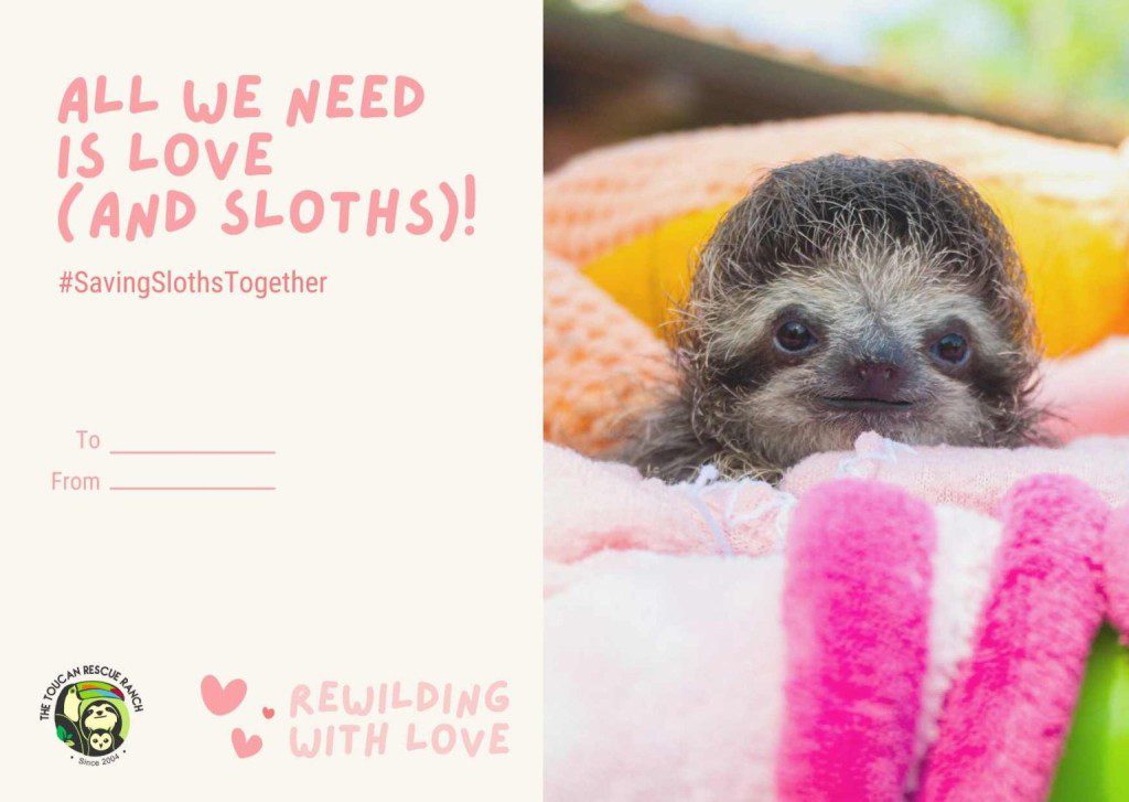All we need is love (and sloths)