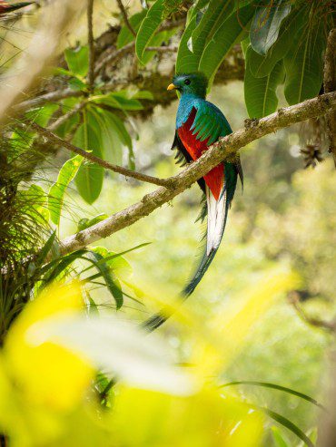 Bringing Sexy Back - Zara Palmer