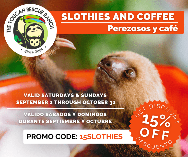 Slothies and coffee