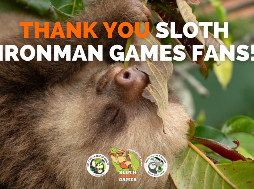 Thank you sloth ironman games fans!