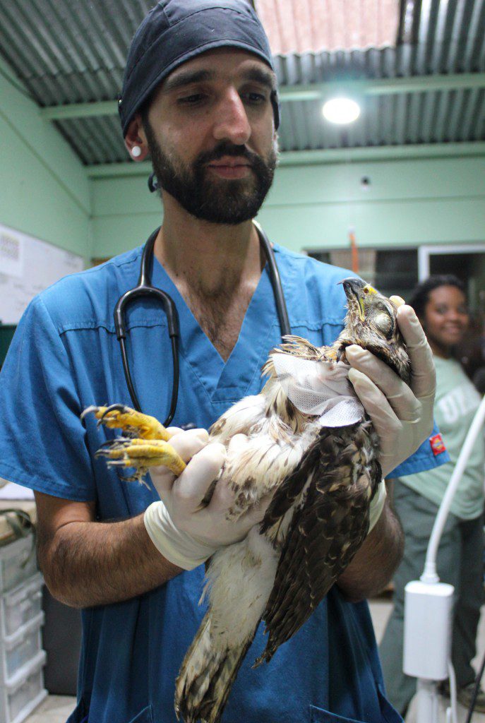 Vet holding Sabina