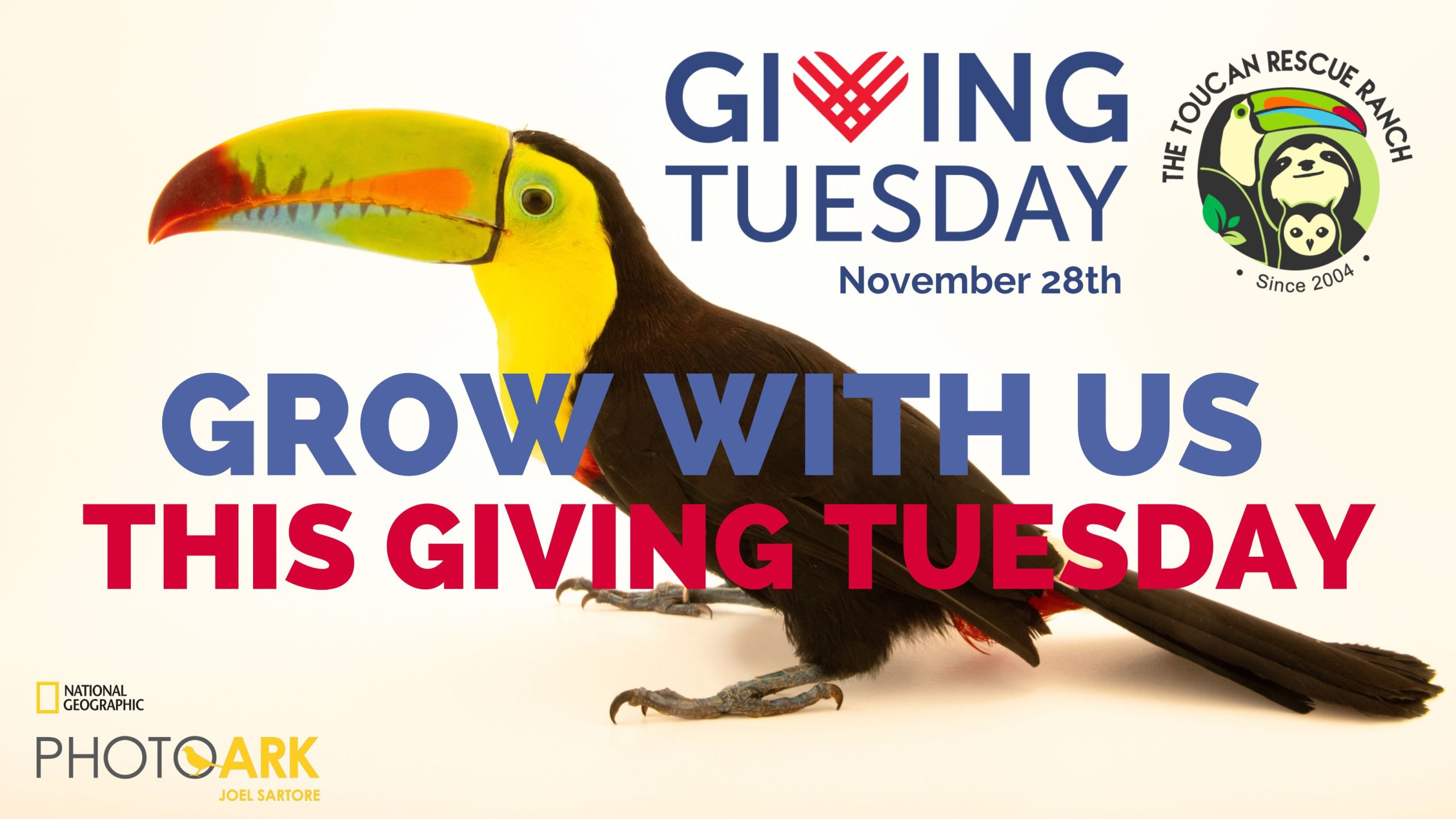 Giving Tuesday