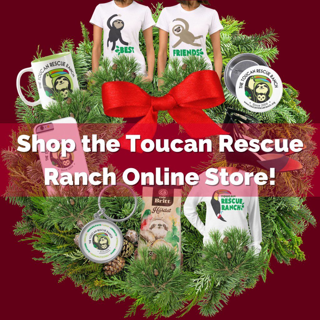 Shop the TRR online store