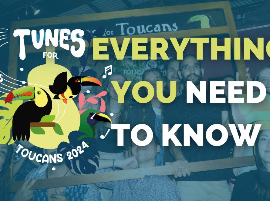 Tunes For Toucans 2024 Everything You Need To Know