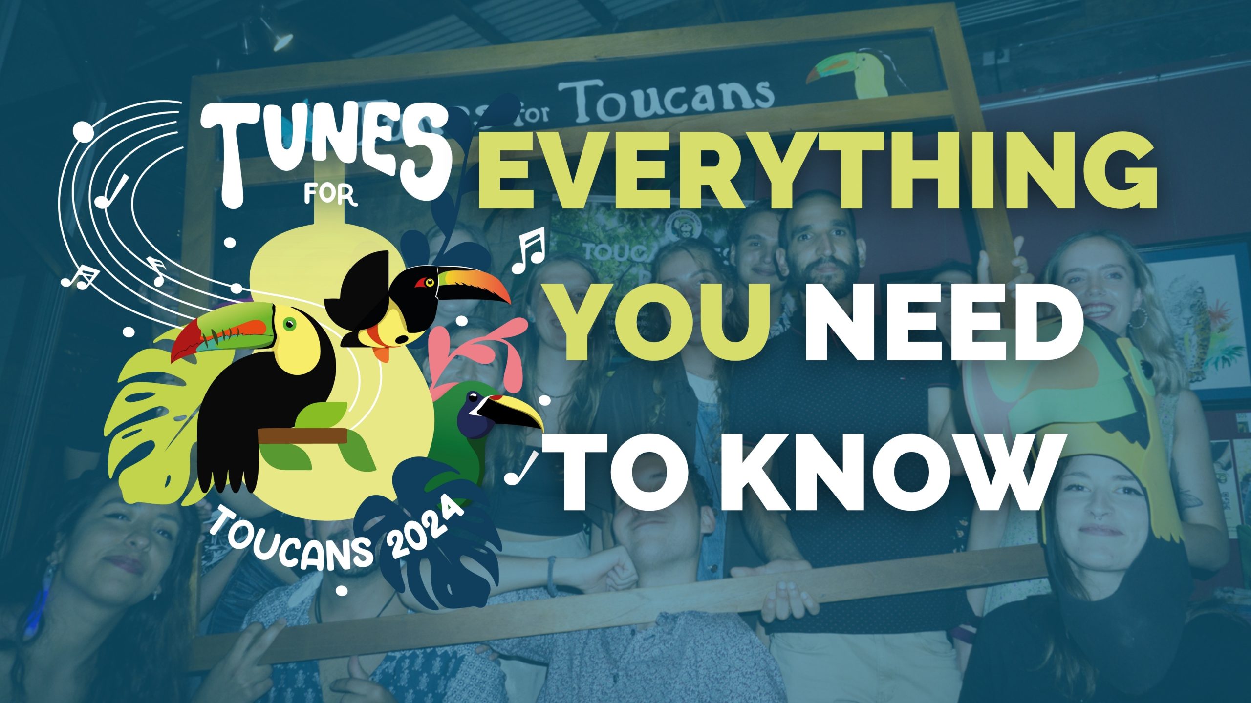 Tunes For Toucans 2024 Everything You Need To Know