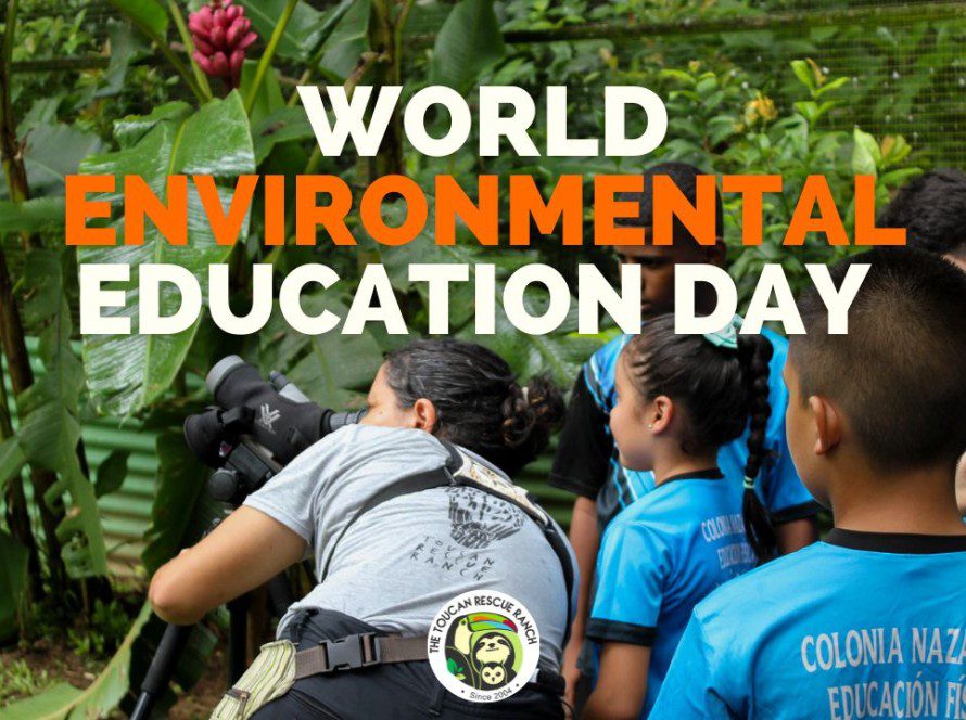 World Environmental Education Day