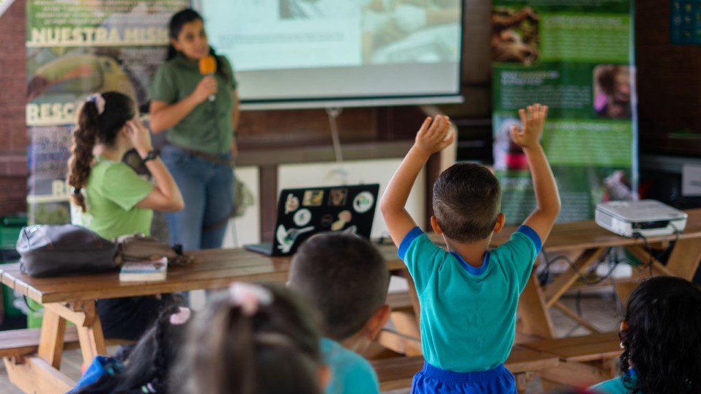 World Environmental Education Day Classroom