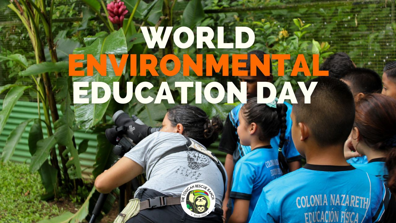 World Environmental Education Day