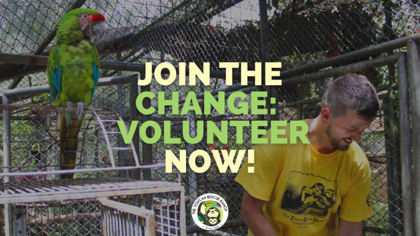 Join the Change: Volunteer Now!