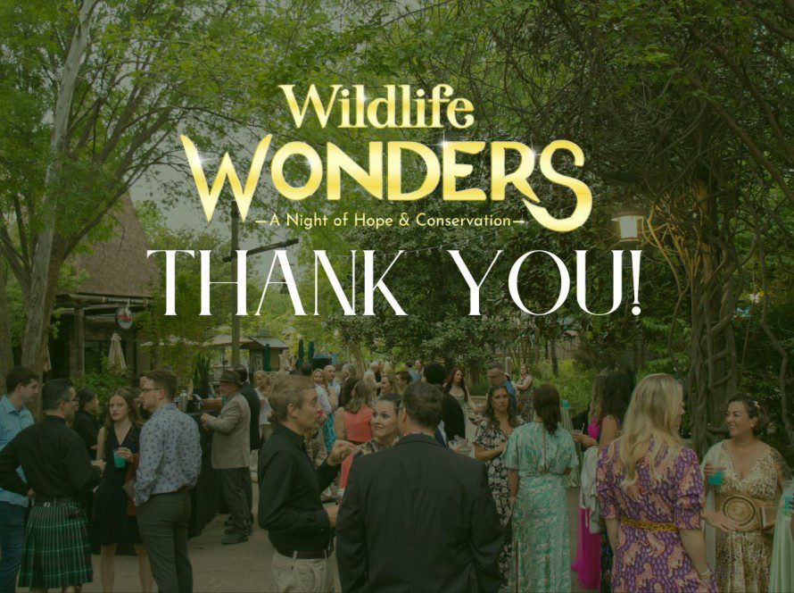 Wildlife Wonders Thank You!