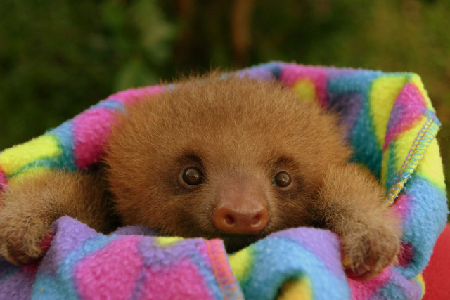 Millie as a baby