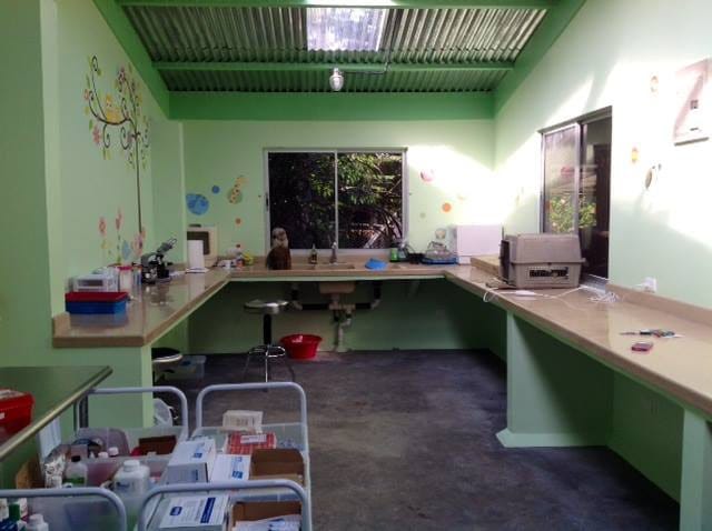 New Clinic
