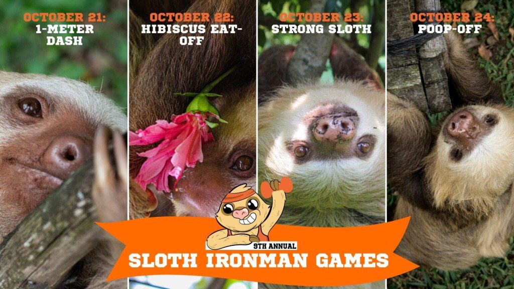 Sloth Ironman Games Schedule