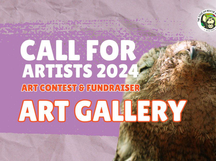 Call for Artists 2024