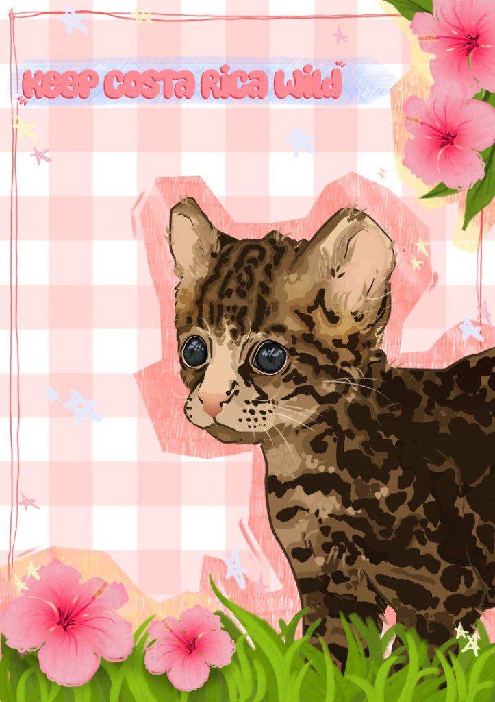 Emma Garrett | Maya the Baby Ocelot