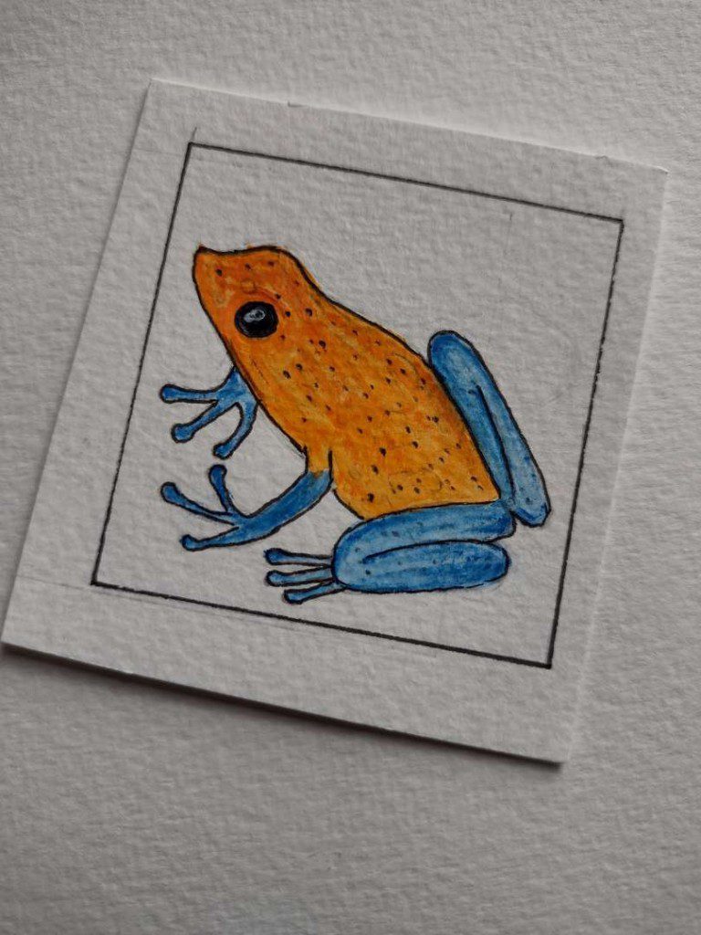 Lizz Rennie | Blue Jeans Poison Frog