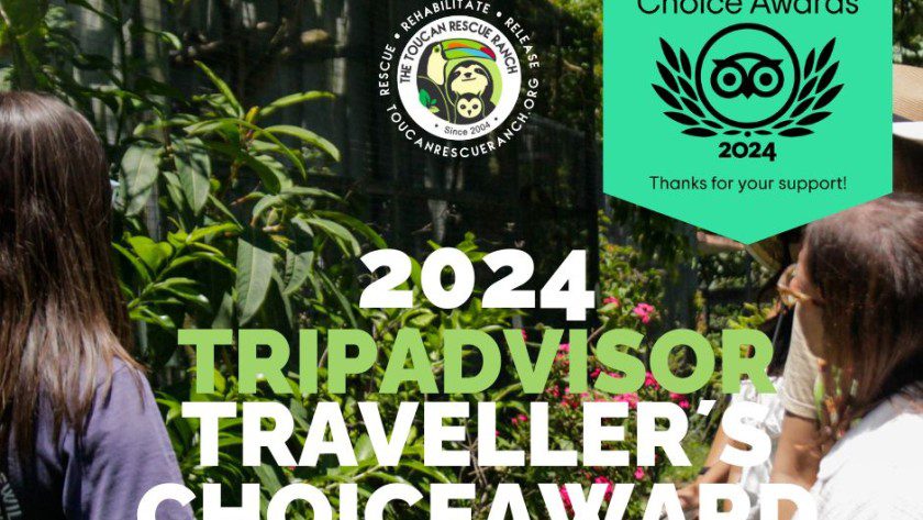 2024 Tripadvisor Travelers's Choice Award