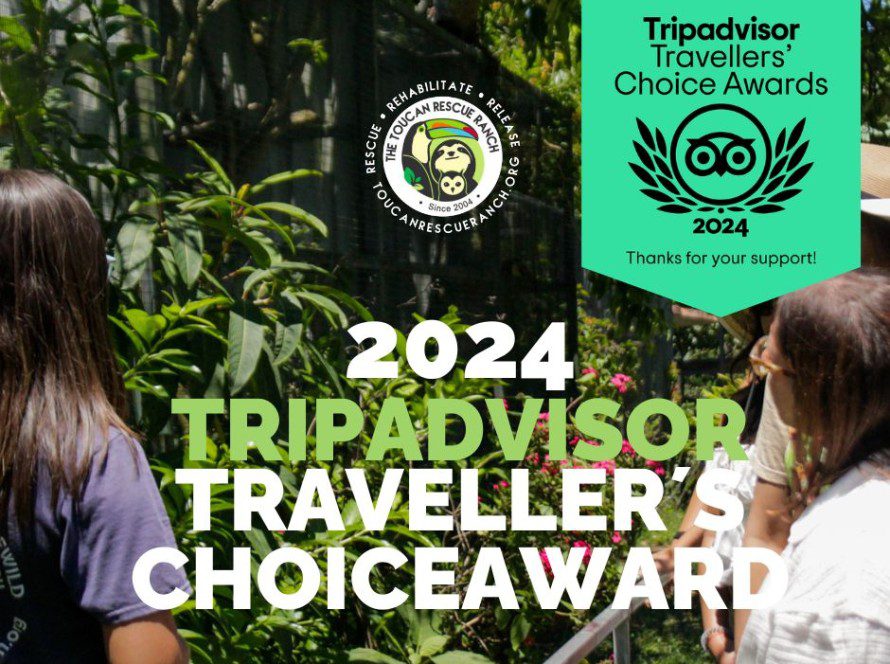 2024 Tripadvisor Travelers's Choice Award