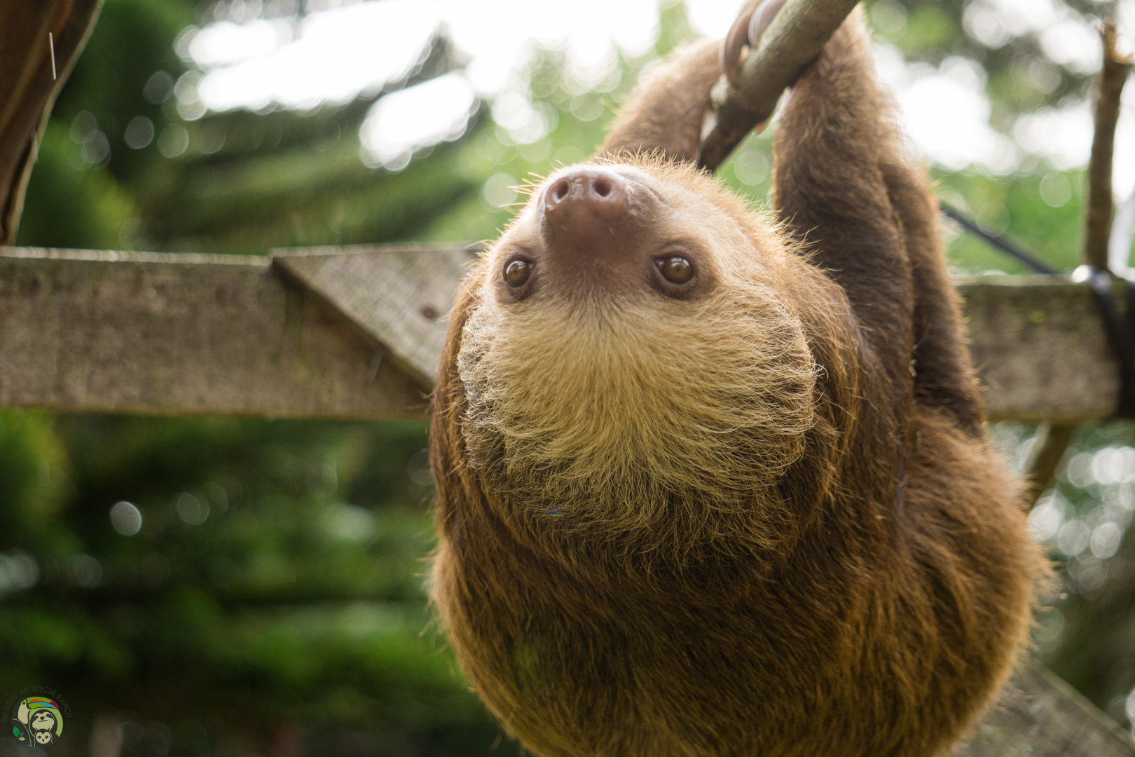 Sloth Feature Virtual Tour