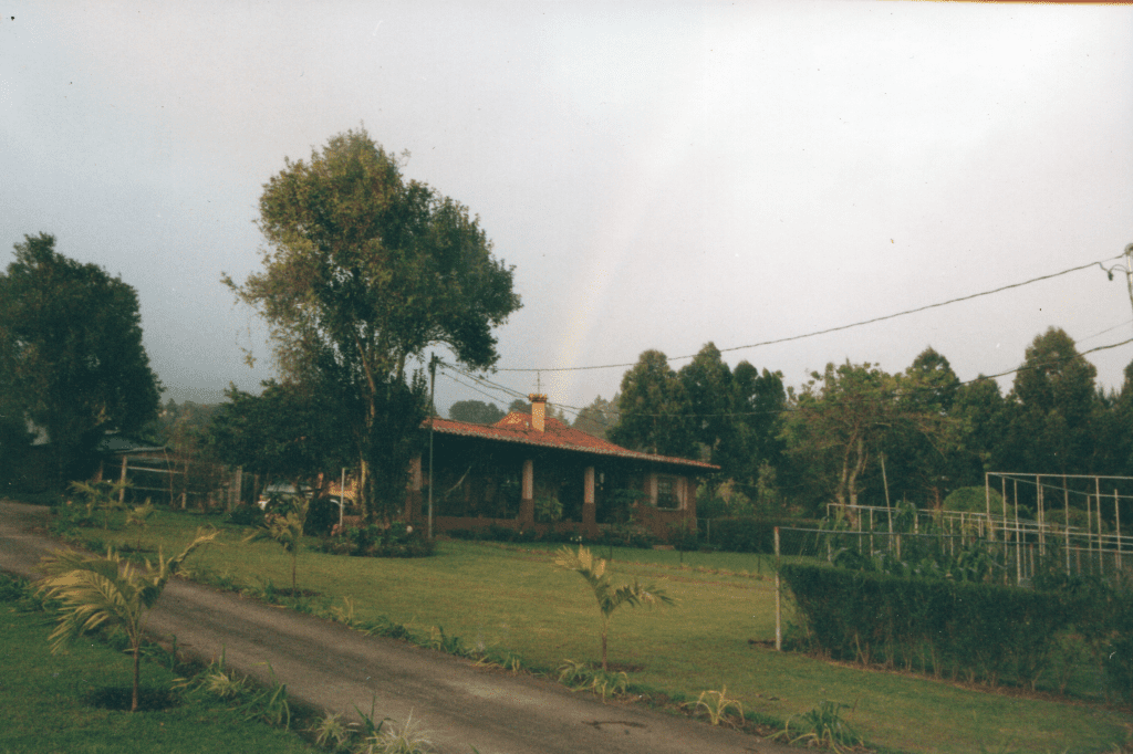 A rainbow over Leslie's home before it became Toucan Rescue Ranch