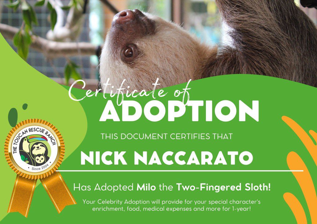 2025 Celebrity Adopter